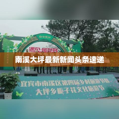 南溪大坪最新新闻头条速递