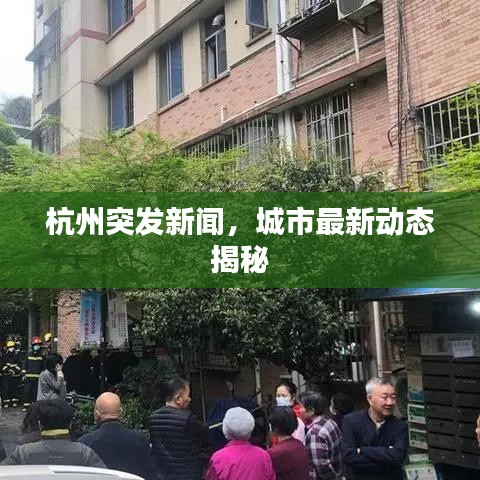 杭州突发新闻，城市最新动态揭秘