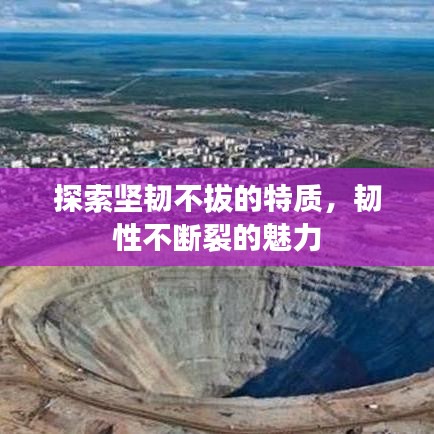 探索坚韧不拔的特质，韧性不断裂的魅力