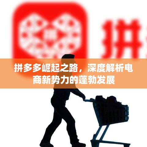 拼多多崛起之路，深度解析电商新势力的蓬勃发展
