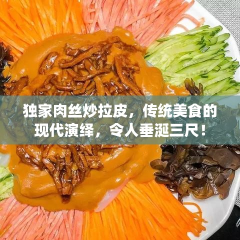 独家肉丝炒拉皮，传统美食的现代演绎，令人垂涎三尺！