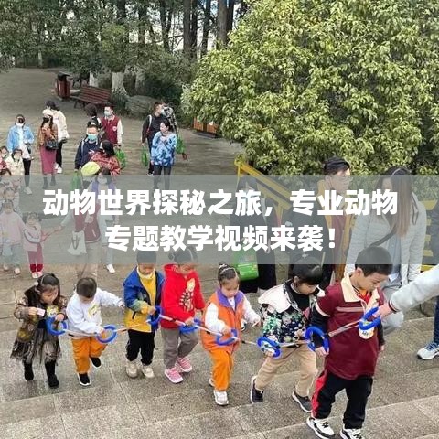 动物世界探秘之旅，专业动物专题教学视频来袭！