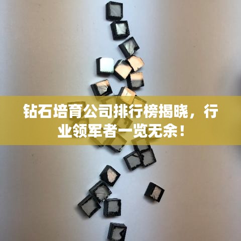 钻石培育公司排行榜揭晓，行业领军者一览无余！