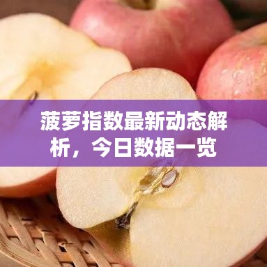 菠萝指数最新动态解析，今日数据一览