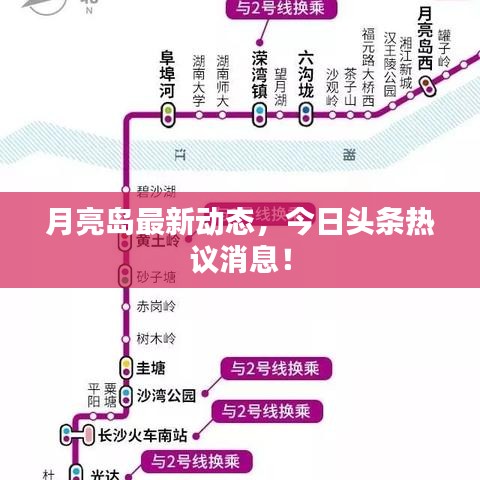 月亮岛最新动态，今日头条热议消息！