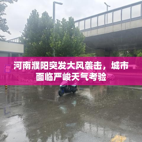 河南濮阳突发大风袭击，城市面临严峻天气考验