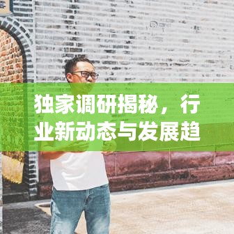 独家调研揭秘，行业新动态与发展趋势——蜜蜂网视角