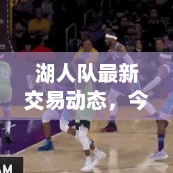 湖人队最新交易动态，今日重磅操作揭秘！