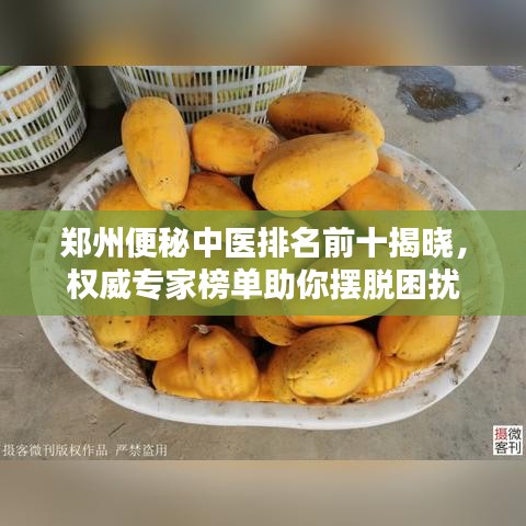 郑州便秘中医排名前十揭晓，权威专家榜单助你摆脱困扰