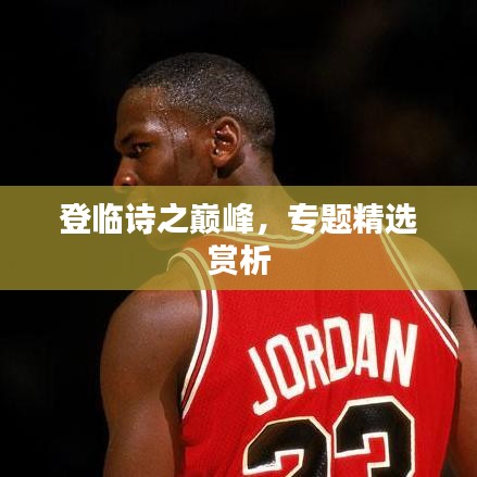 登临诗之巅峰，专题精选赏析