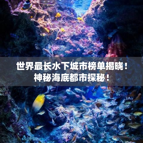 世界最长水下城市榜单揭晓！神秘海底都市探秘！
