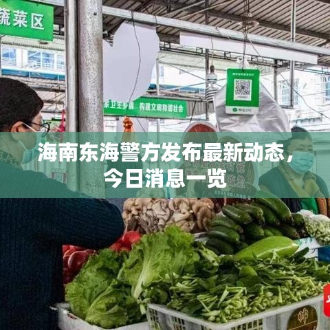 海南东海警方发布最新动态，今日消息一览