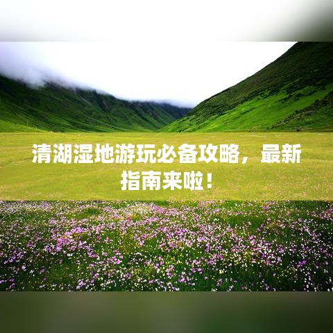 清湖湿地游玩必备攻略，最新指南来啦！