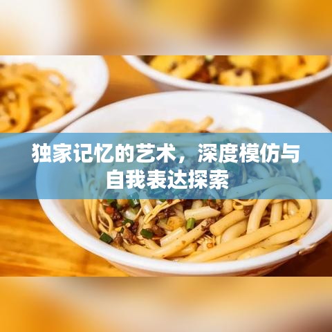 独家记忆的艺术，深度模仿与自我表达探索