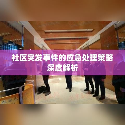 社区突发事件的应急处理策略深度解析