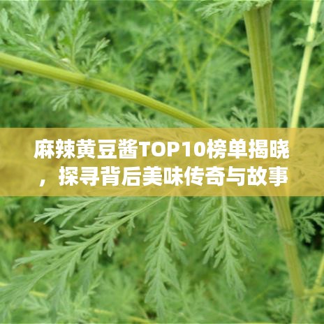 麻辣黄豆酱TOP10榜单揭晓，探寻背后美味传奇与故事！