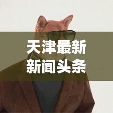 天津最新新闻头条，城市新动态与发展亮点揭秘