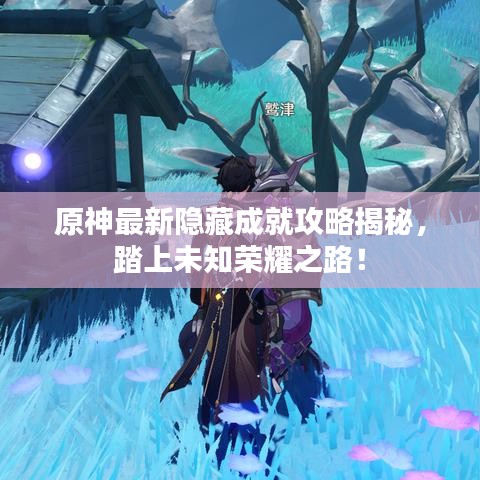 原神最新隐藏成就攻略揭秘，踏上未知荣耀之路！