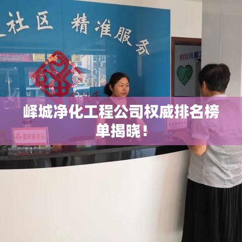峄城净化工程公司权威排名榜单揭晓！