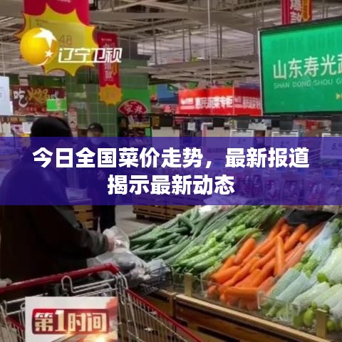 今日全国菜价走势，最新报道揭示最新动态