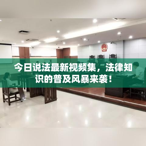 今日说法最新视频集，法律知识的普及风暴来袭！