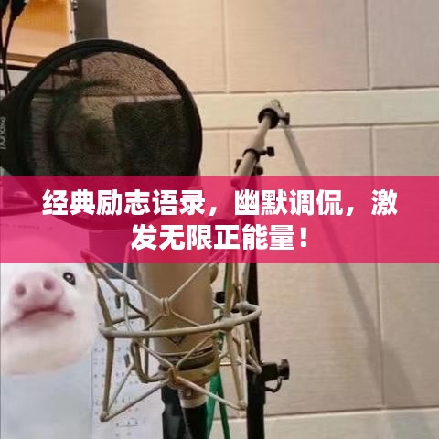 经典励志语录，幽默调侃，激发无限正能量！