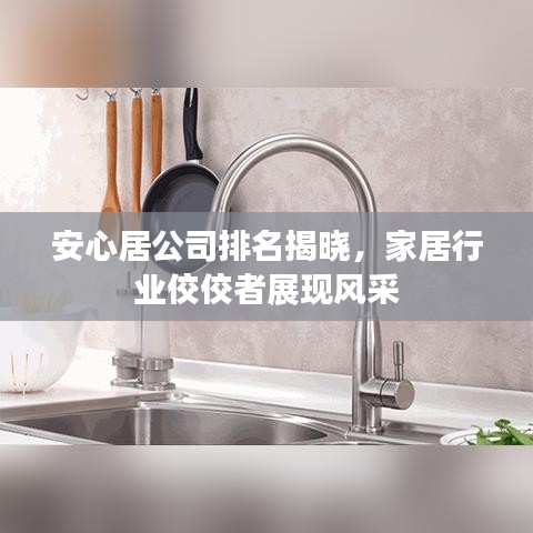安心居公司排名揭晓，家居行业佼佼者展现风采