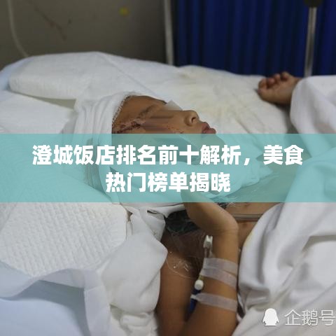 澄城饭店排名前十解析，美食热门榜单揭晓