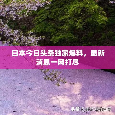 日本今日头条独家爆料，最新消息一网打尽