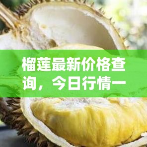 榴莲最新价格查询，今日行情一目了然！