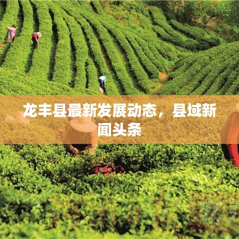龙丰县最新发展动态，县域新闻头条