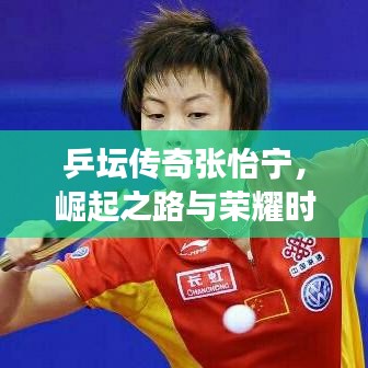 乒坛传奇张怡宁，崛起之路与荣耀时刻的世界排名之旅
