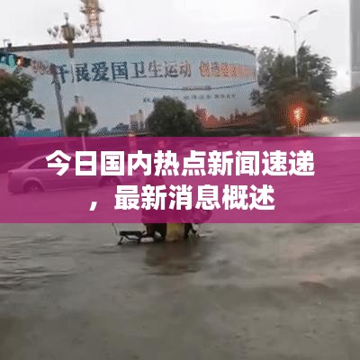 今日国内热点新闻速递，最新消息概述