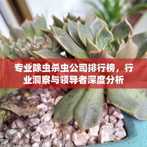 专业除虫杀虫公司排行榜，行业洞察与领导者深度分析