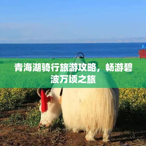 青海湖骑行旅游攻略，畅游碧波万顷之旅