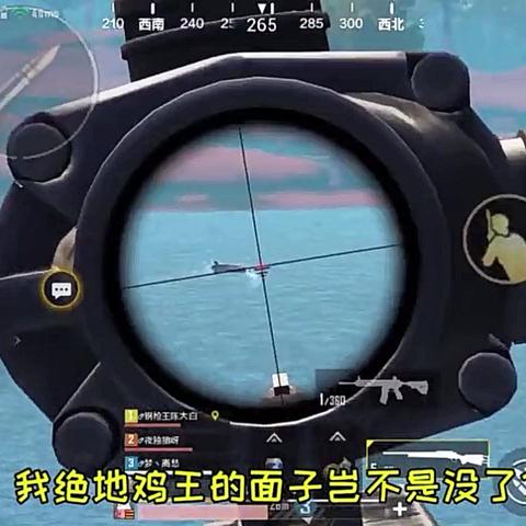 菜鸡中版本，战略优化方案LE版_v5.171，创意工作的新伙伴