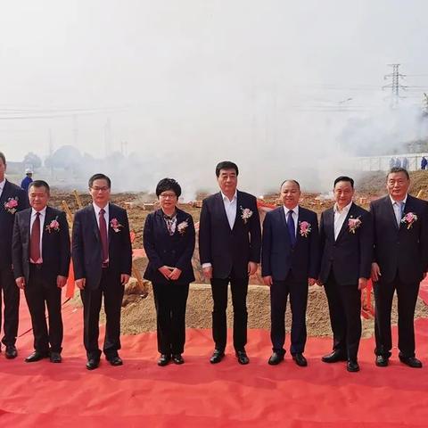 css官方手册下载,实地数据评估方案|模拟版_v10.737