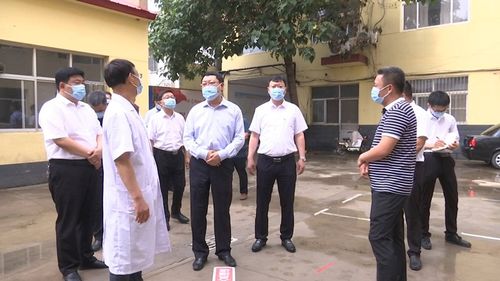 新版本猪妹软件评测，实地深度解析