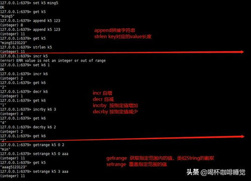 挂机锁官方免费下载，深度评估解析说明GM版_v8.923——领域标杆产品引领安全潮流