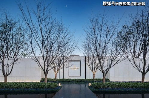 5891包官方下载,实效设计计划解析_免费版1_v3.936