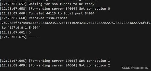 足记版本,可持续执行探索_高级款_v10.979