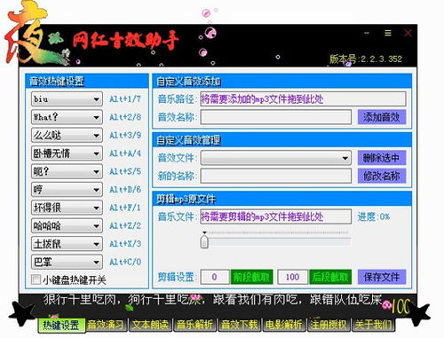 官方淘宝下载，数据支持策略解析_轻量版_v9.489软件介绍