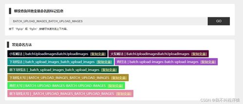 Minicam官方下载，轻量级软件定义新时代的效率与流畅体验
