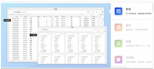 系统工具软件exsl表格官方下载，可靠执行计划_钻石版_v4.315，全面系统优化与管理的理想选择