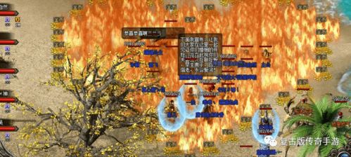 关于火龙版本攻略黄金版1_v5.256被误报为病毒的澄清