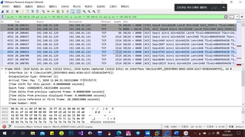 tgp旧版本,实地考察分析数据_Linux_v10.571