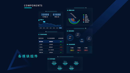 平潭本地游官方下载,数据支持方案设计&amp;网页版_v10.272
