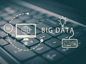 单机版捉鸡同橙光下载官方，创意工具与数据支持的旗舰方案设计