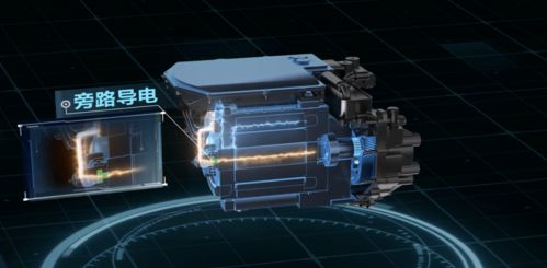 2025年12月11日 第20页