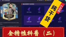 fifa2020激活码跟官方下载不了,科学基础解析说明&amp;旗舰版_v7.651